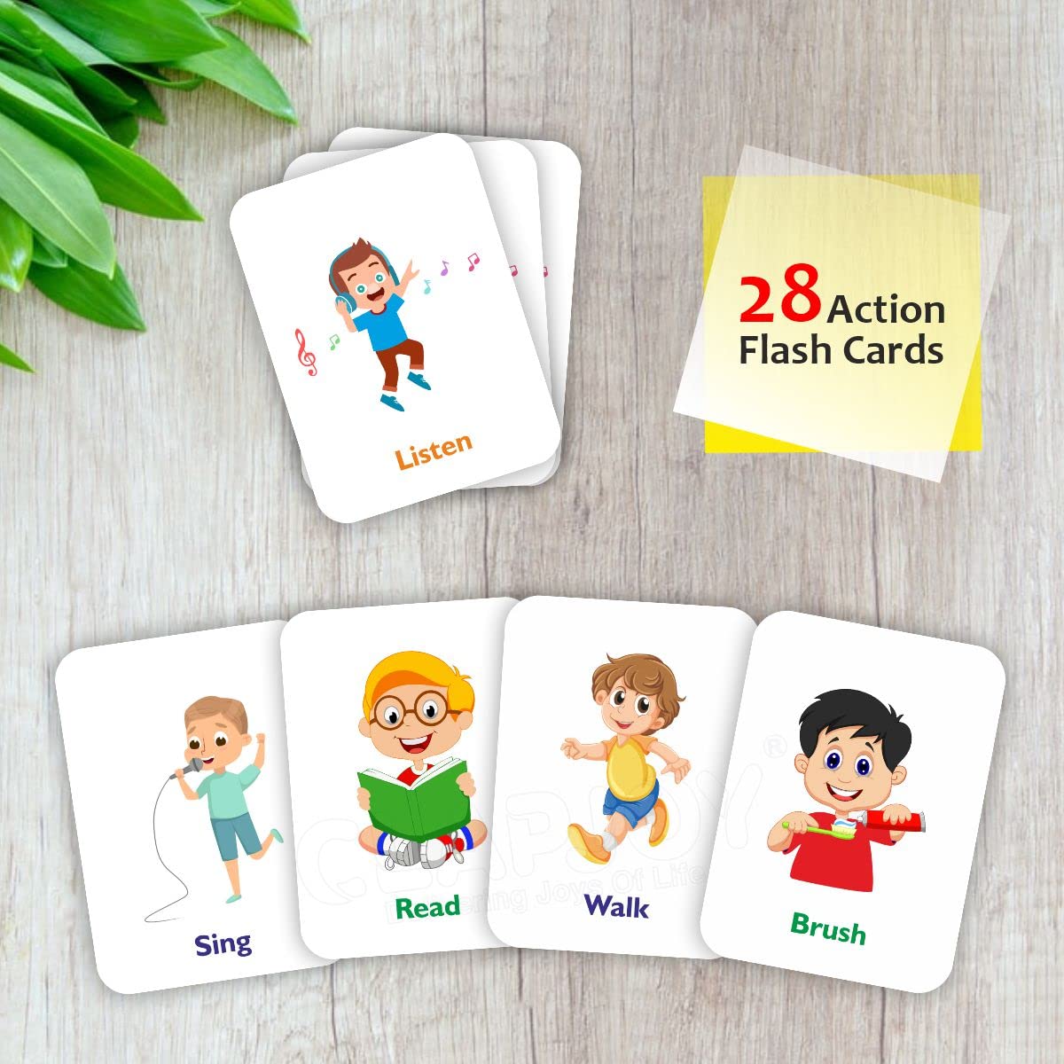 Double Sided Flash Cards