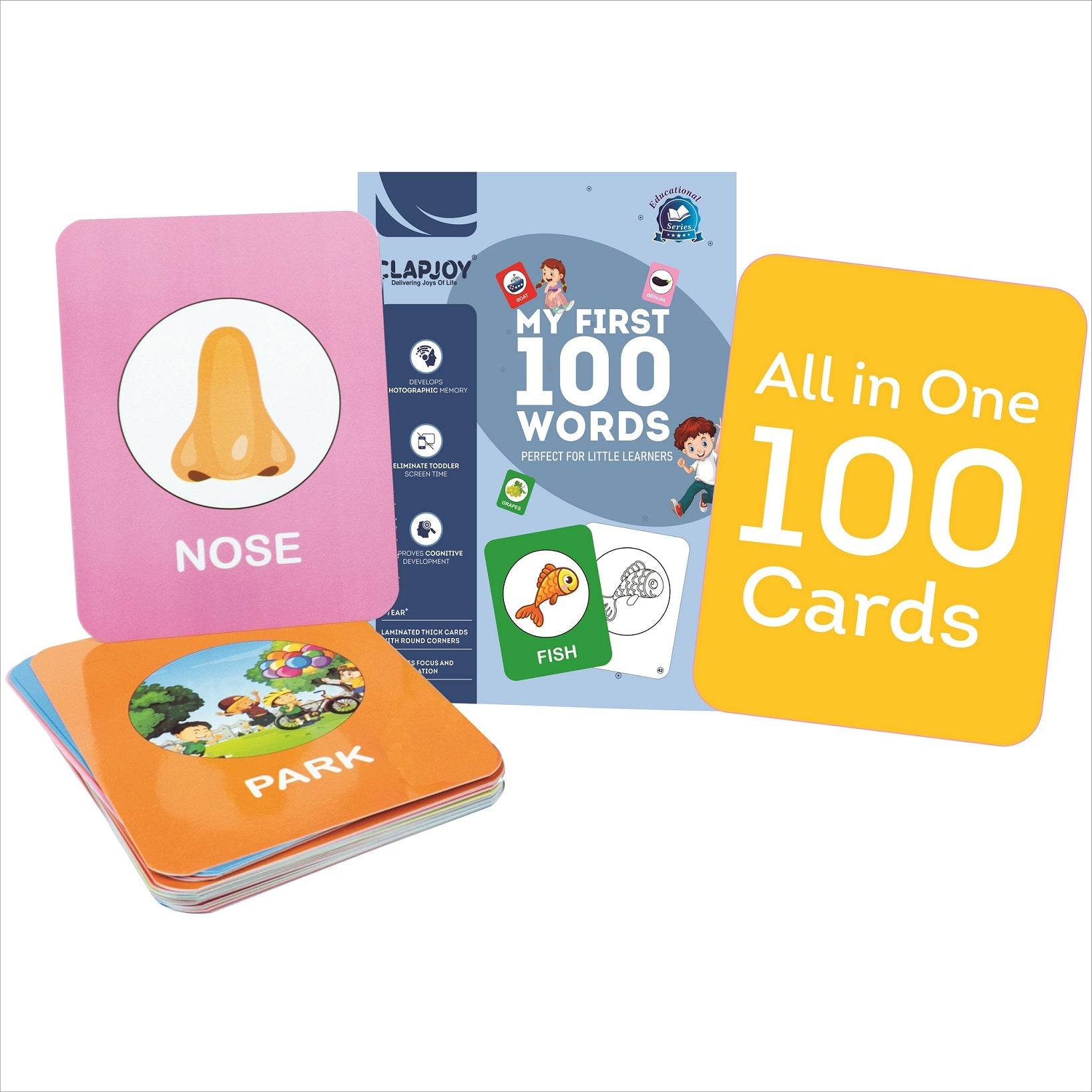 All-in-One 100 Flash Cards