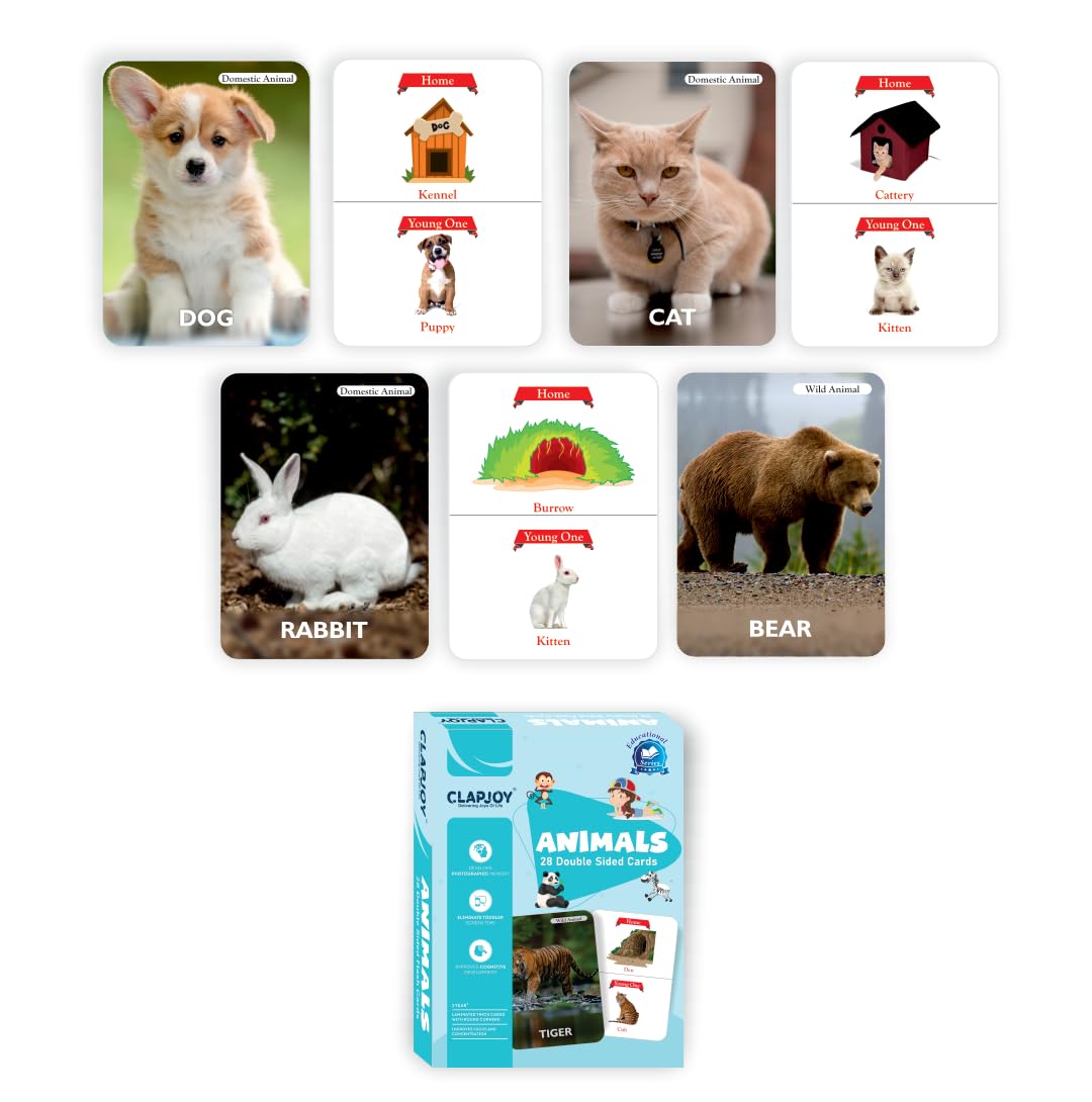 Flashcards Combo Set of 7