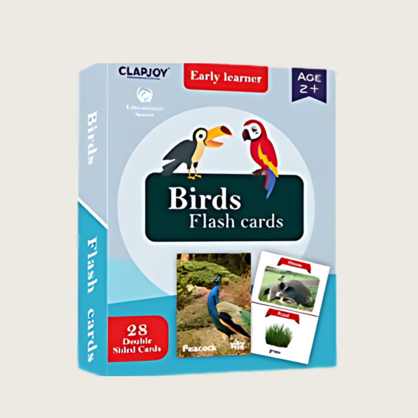 Double Sided Flash Cards