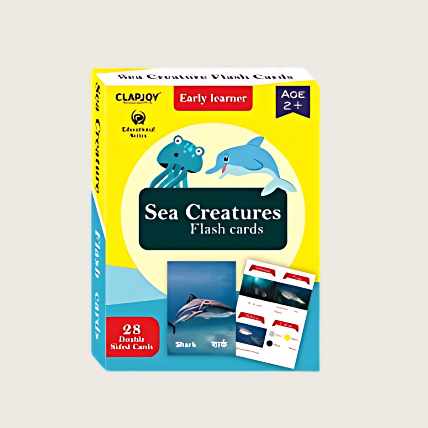 Double Sided Flash Cards