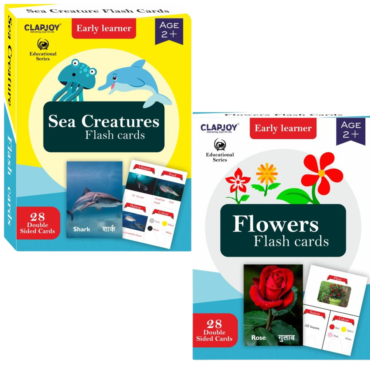 Flowers & Sea Creatures Flash Cards