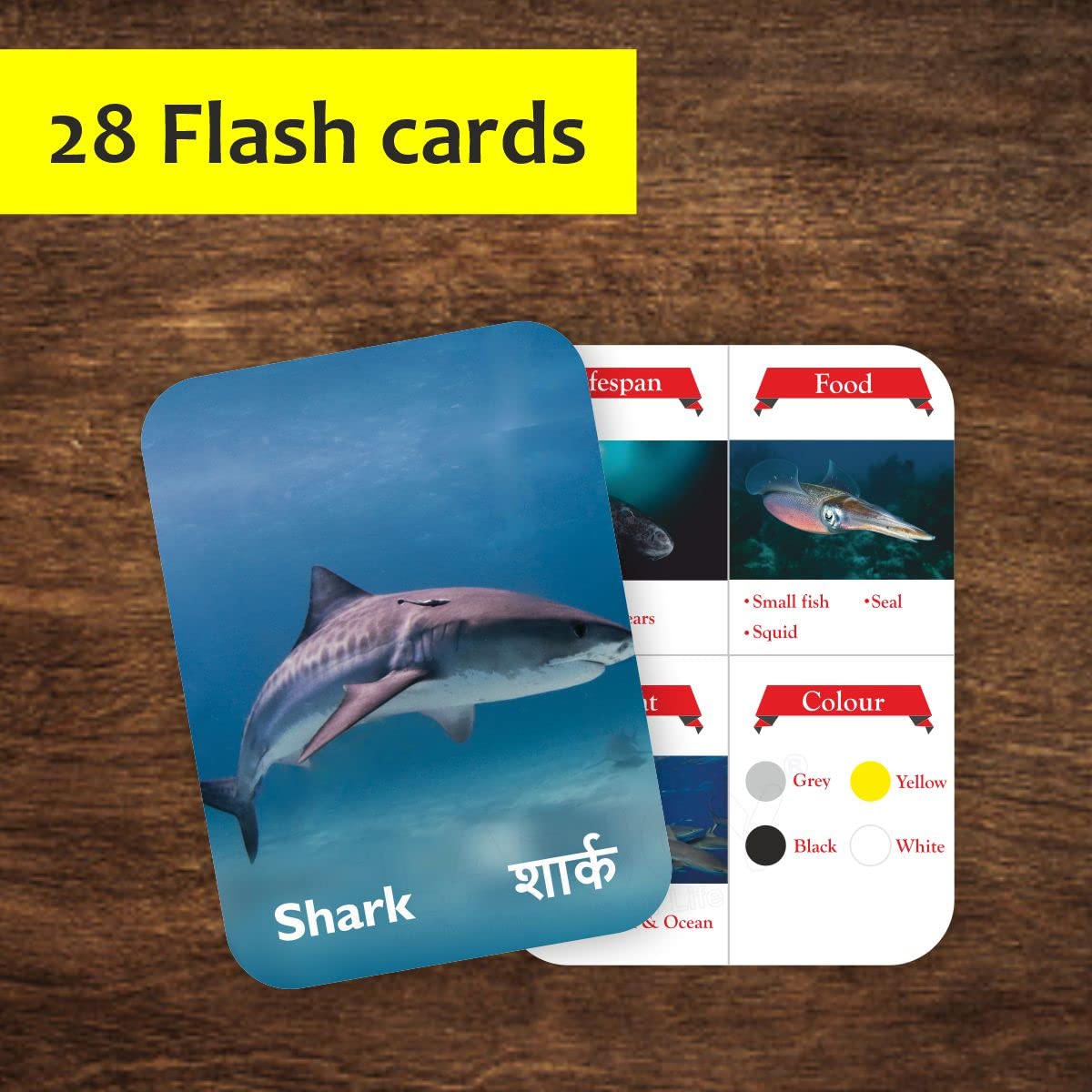 Flowers & Sea Creatures Flash Cards