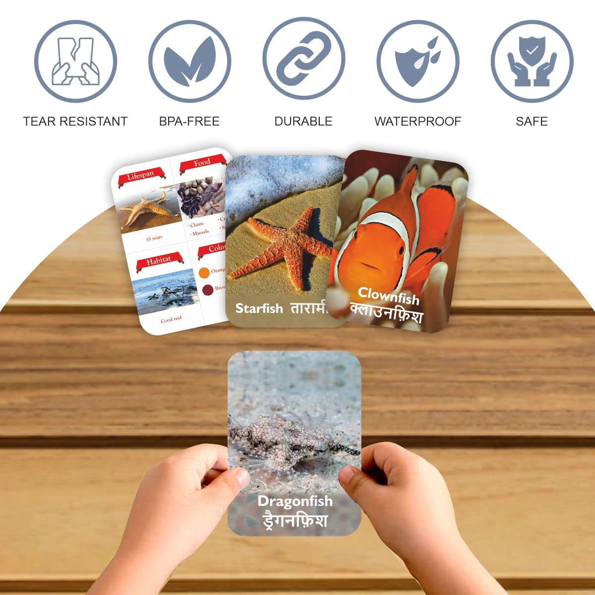 Flowers & Sea Creatures Flash Cards