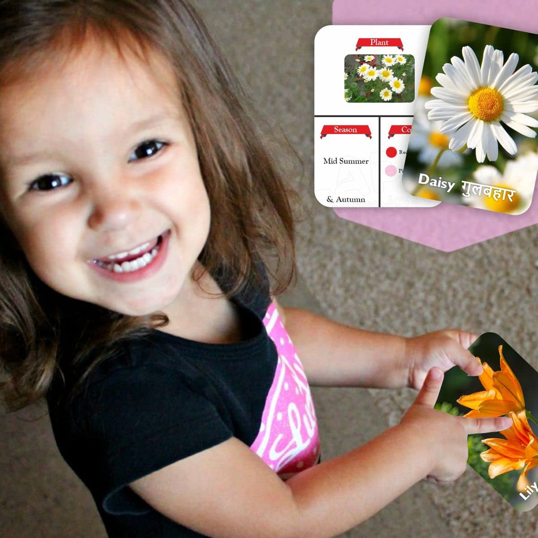 Flowers & Sea Creatures Flash Cards