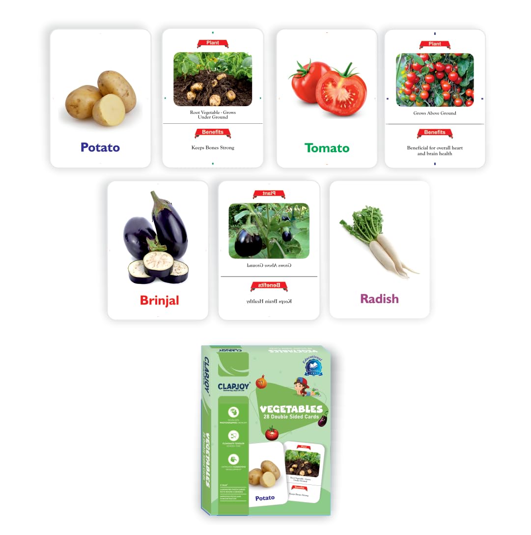 Flashcards Combo Set of 7