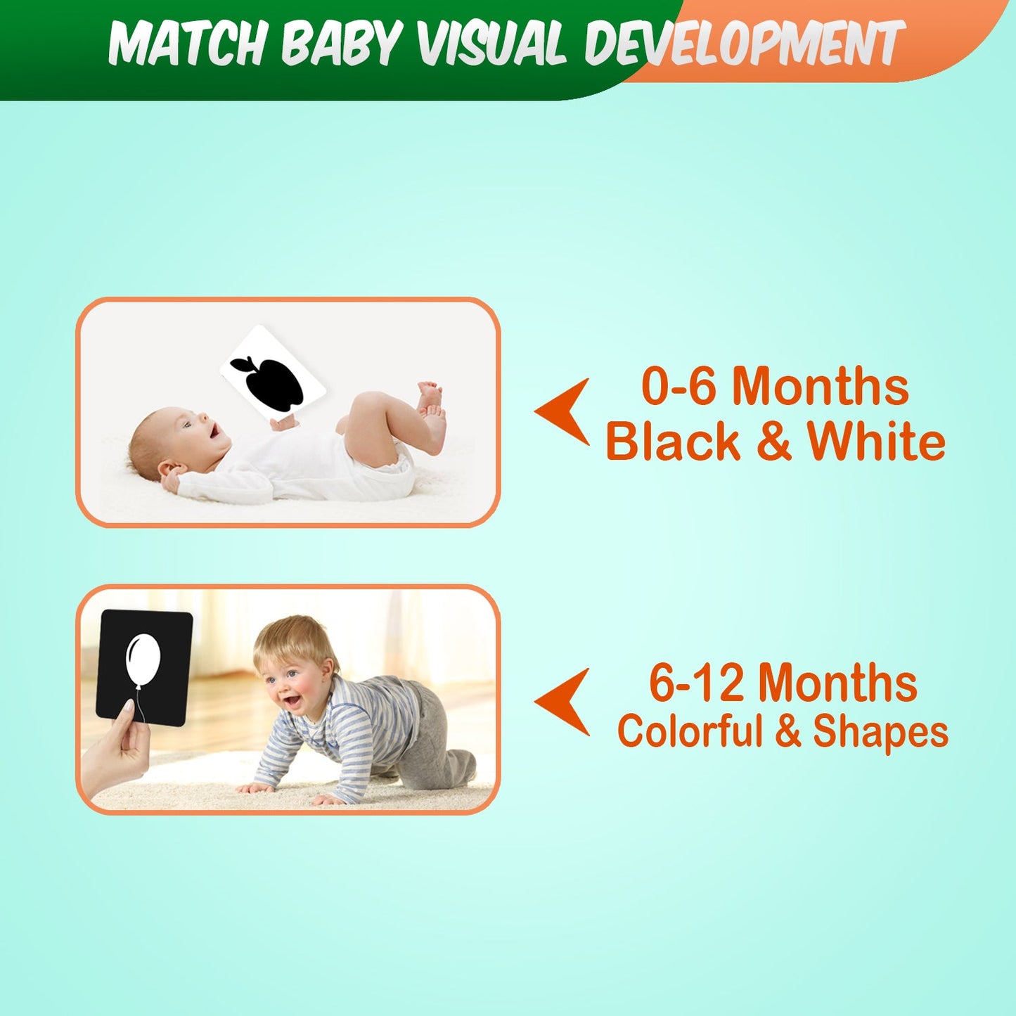 New Born Black and White Flash Cards