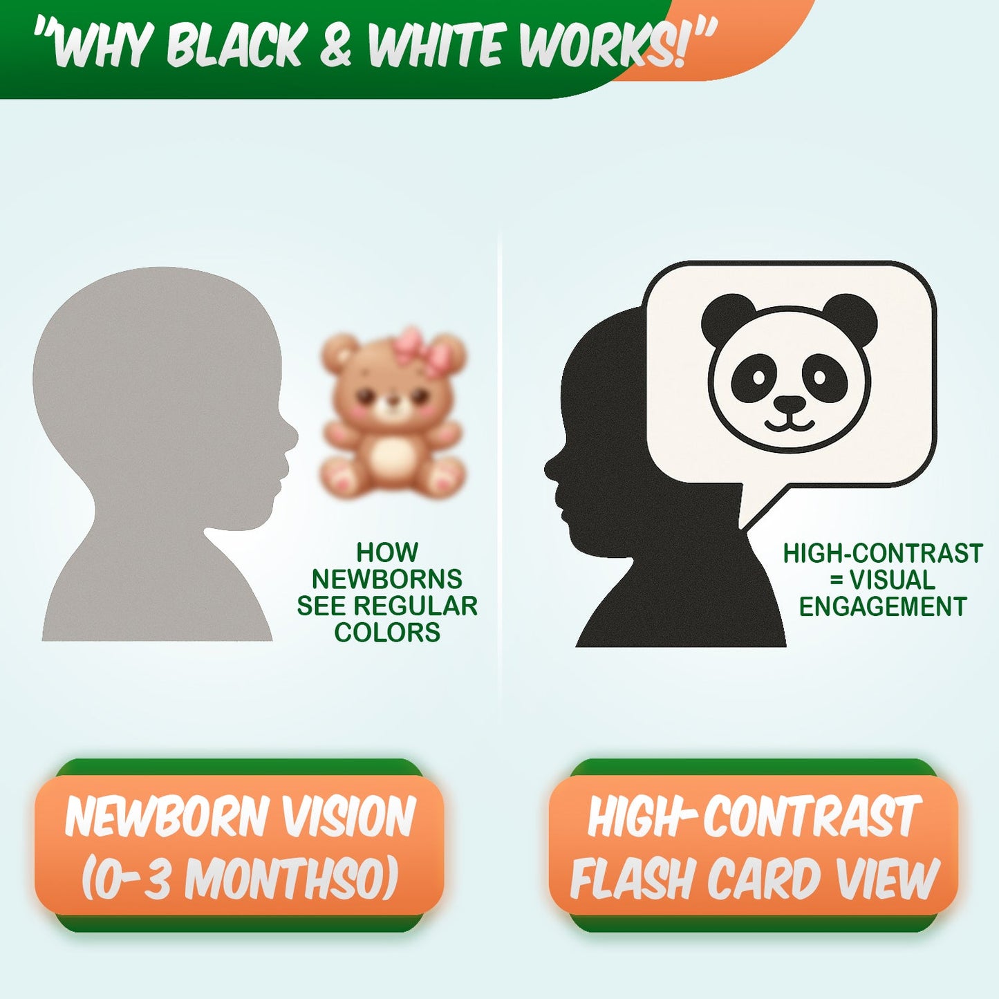 New Born Black and White Flash Cards