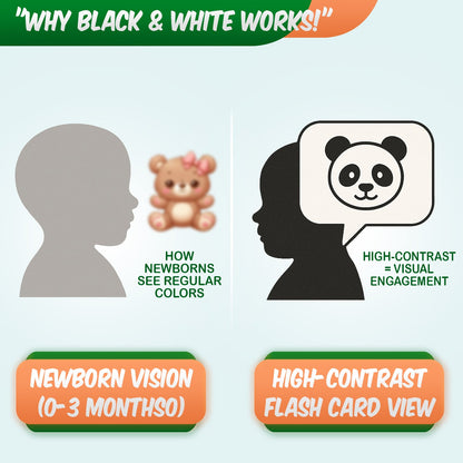 New Born Black and White Flash Cards